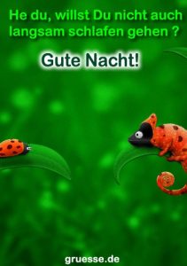 grusskarte zeiten gute nacht 044