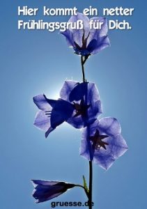 grusskarte zeiten jahreszeit fruehling 010