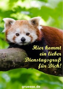 grusskarte zeiten wochentage 002