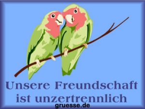 grusskarte Herzensgruesse freundschaft k 008