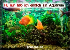 grusskarte diverses aquarianer b 005