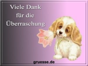 grusskarte diverses danke b 022