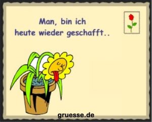 grusskarte diverses spass b 002