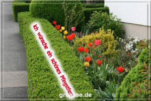 grusskarte festtage pfingsten fotos b 003