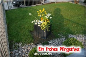 grusskarte festtage pfingsten fotos b 008