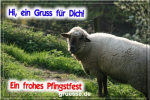 grusskarte festtage pfingsten fotos b 011