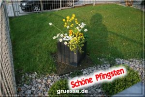 grusskarte festtage pfingsten fotos b 012