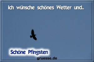 grusskarte festtage pfingsten fotos b 036