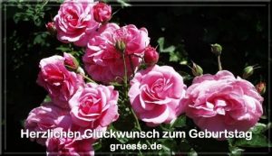 grusskarte glueckwuensche geburtstag blumen b 021