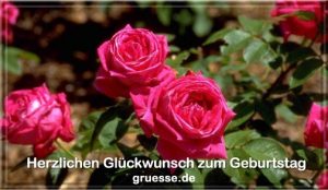 grusskarte glueckwuensche geburtstag blumen b 022