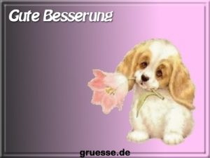 grusskarte glueckwuensche genesung k 009