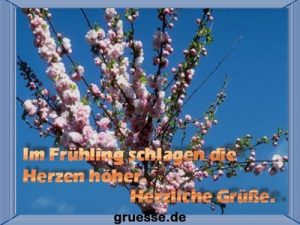 grusskarte zeiten fruehling k 005